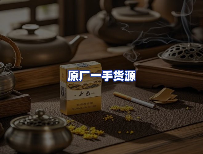 专业团队